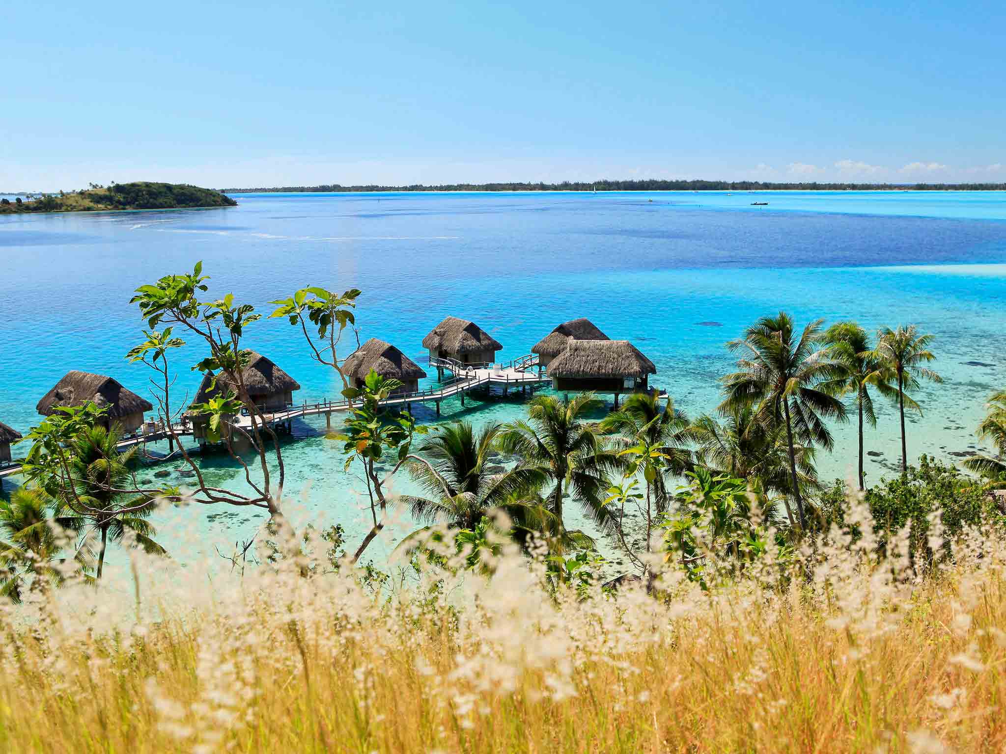 Best Hotels Bora Bora [2024] Guide