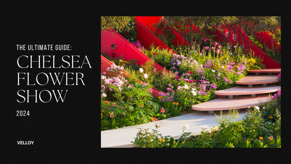 Chelsea Flower Show 2024: The Ultimate Guide (Tips & Highlights) post image