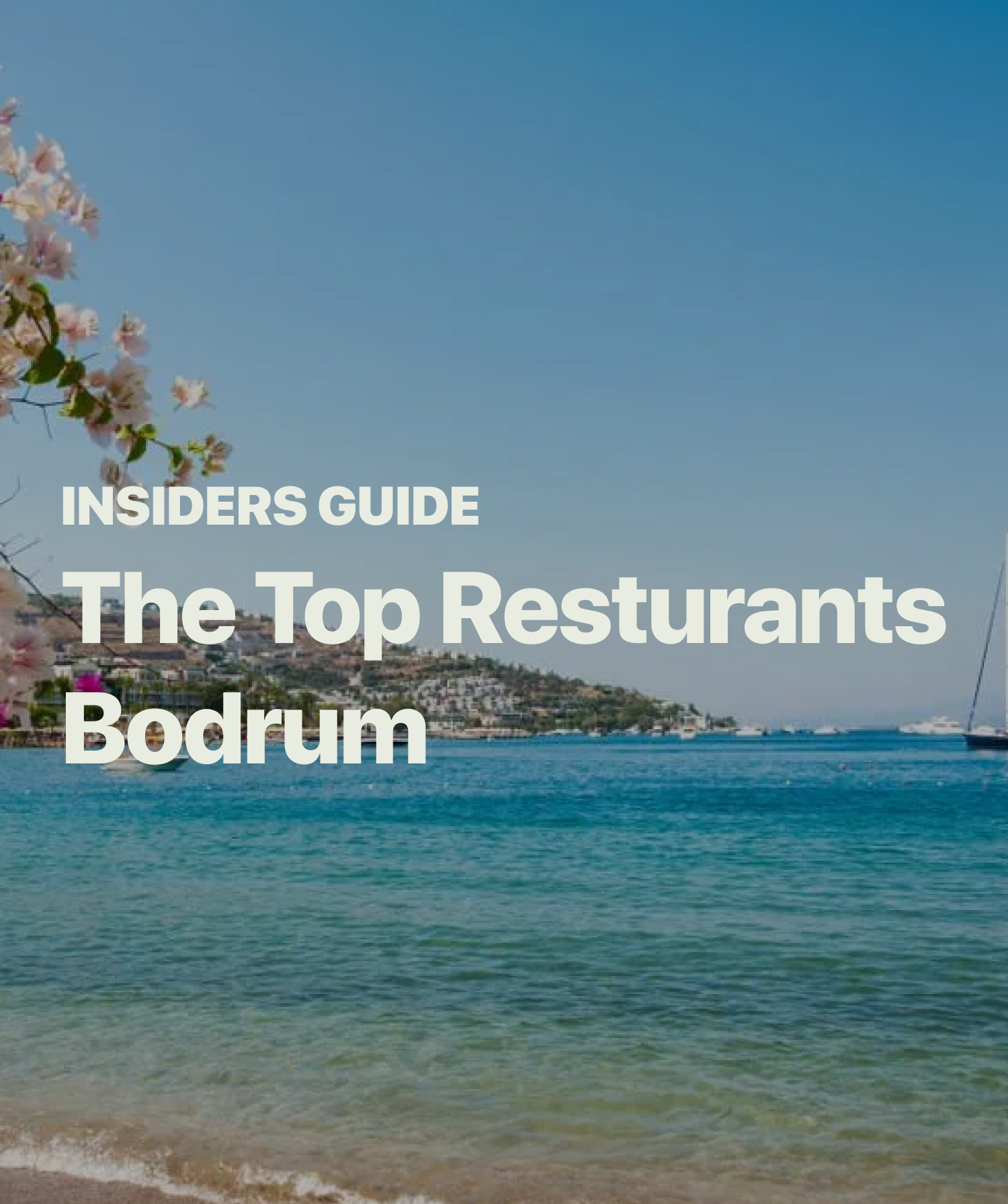 Top Bodrum Restaurants 2024 post image